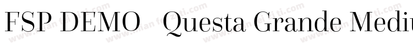 FSP DEMO   Questa Grande Medium Reg字体转换